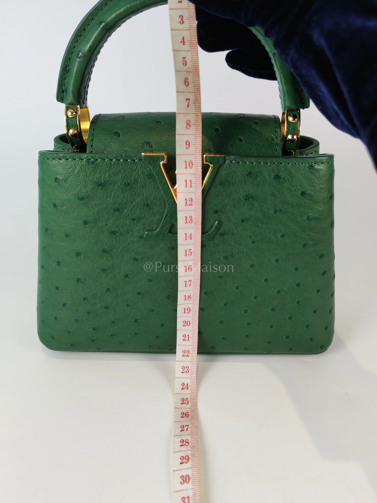 Louis Vuitton Mini Capuccines in Green Ostrich & Goat Leather Lining (Microchip) - Image 29