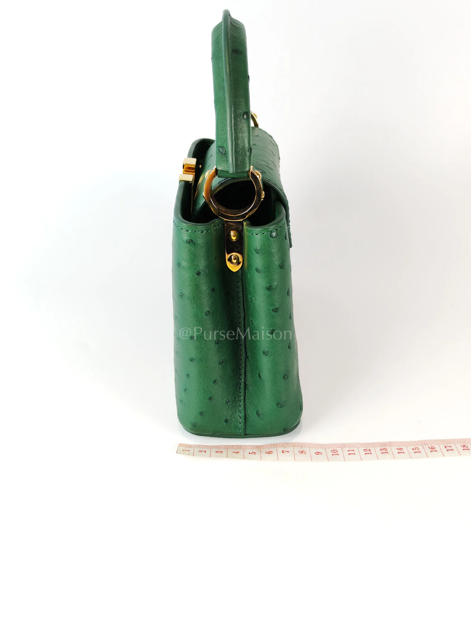 Louis Vuitton Mini Capuccines in Green Ostrich & Goat Leather Lining (Microchip) - Image 30