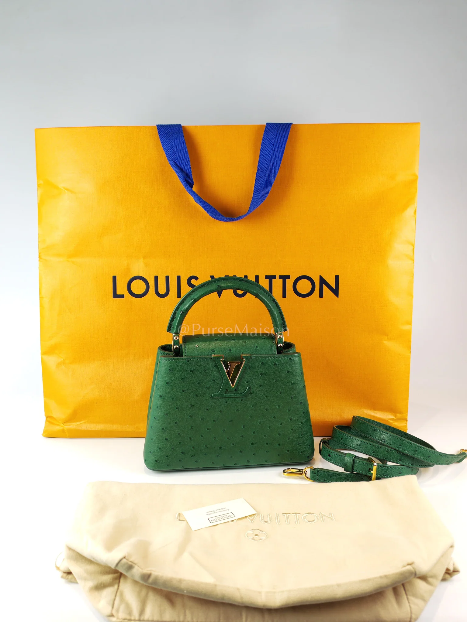 Louis Vuitton Mini Capuccines in Green Ostrich & Goat Leather Lining (Microchip) - Image 31