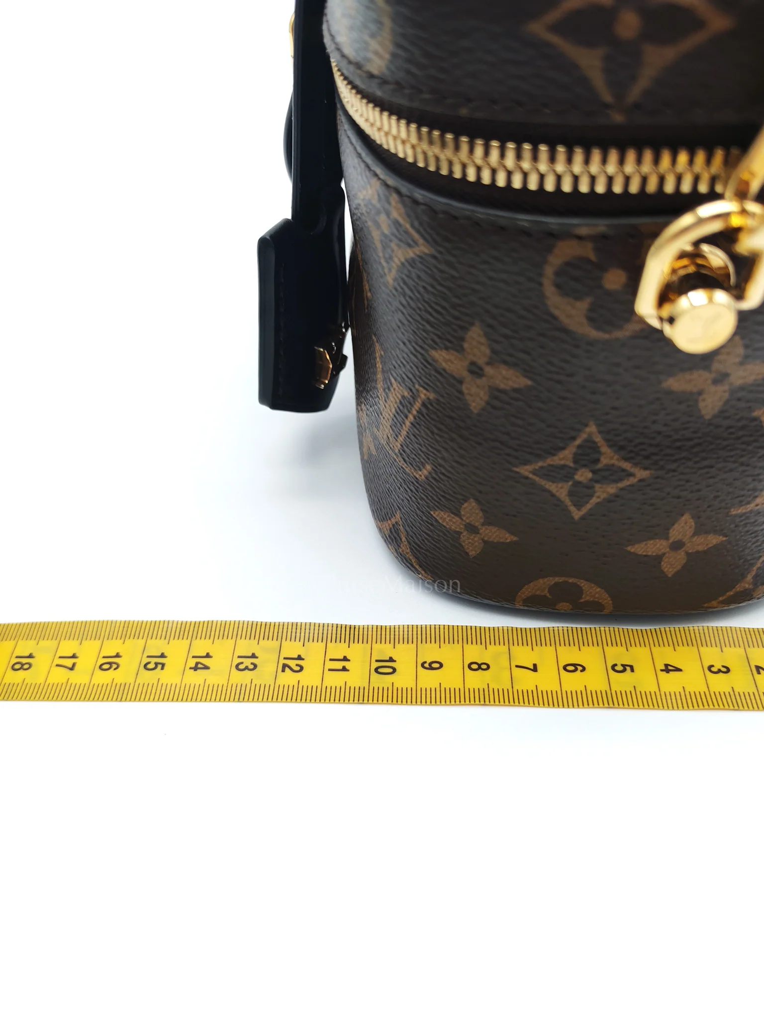 Louis Vuitton Vanity Top Handle in Monogram Canvas Shoulder Bag (Microchip) - Image 31