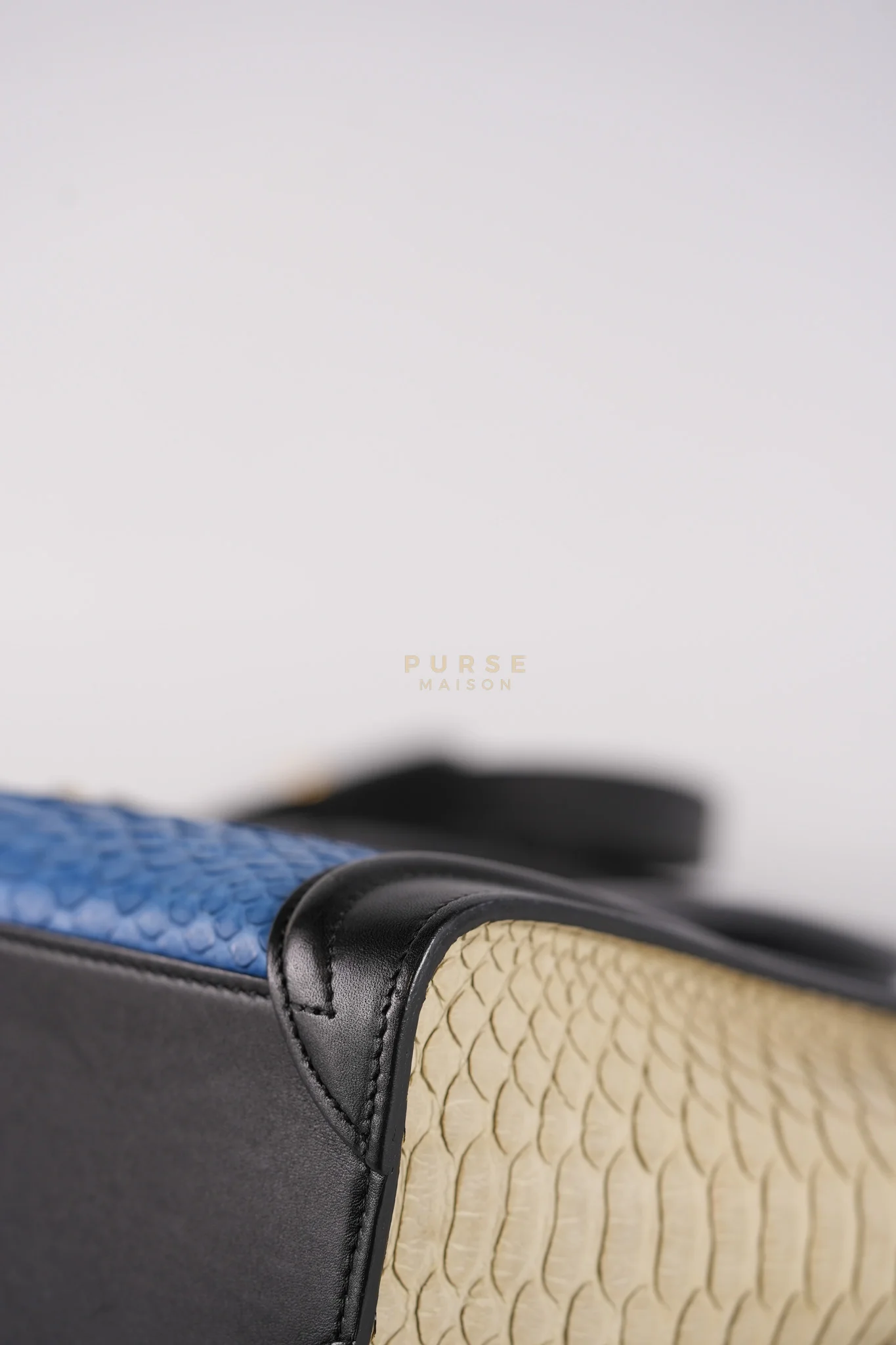 Celine Nano Luggage Tri-color in Python Exotic Leather - Image 10
