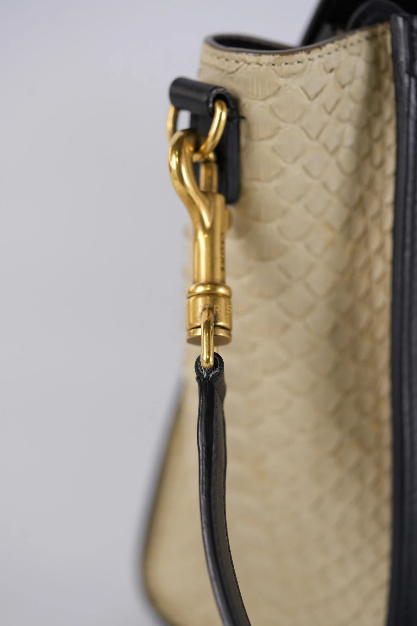 Celine Nano Luggage Tri-color in Python Exotic Leather - Image 15