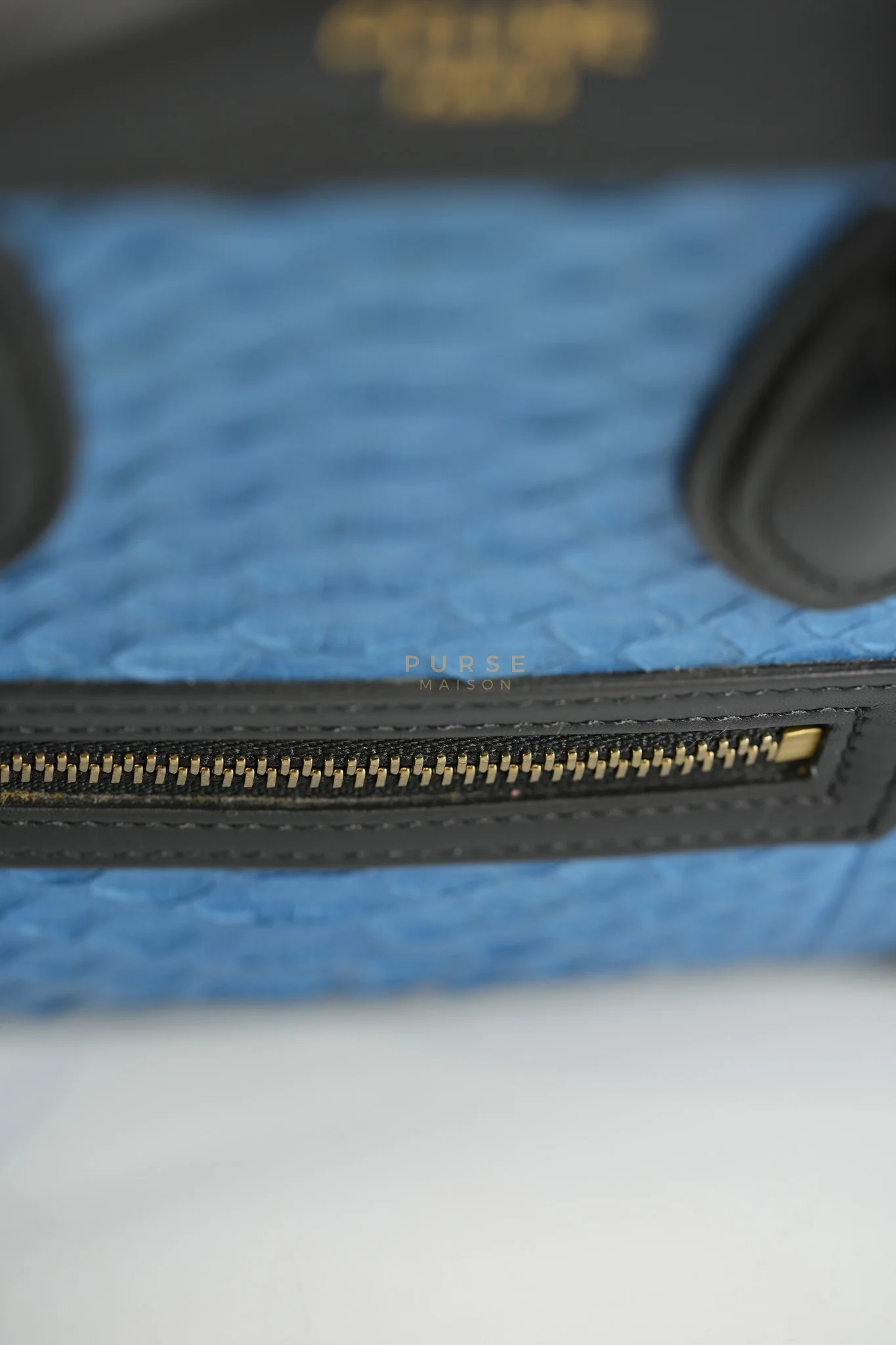 Celine Nano Luggage Tri-color in Python Exotic Leather - Image 16
