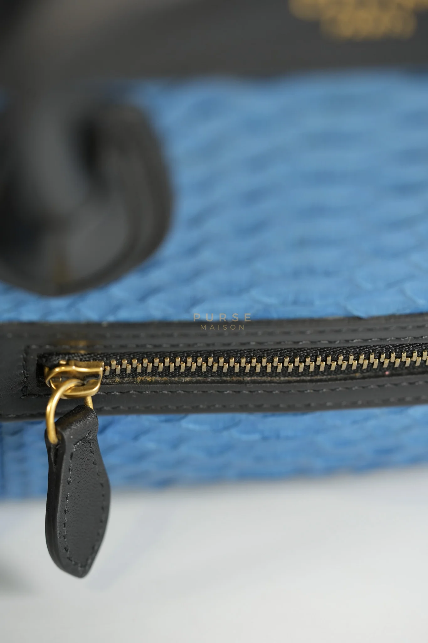 Celine Nano Luggage Tri-color in Python Exotic Leather - Image 17