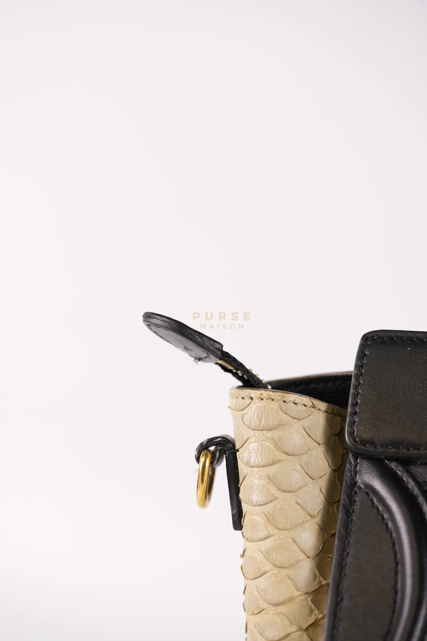Celine Nano Luggage Tri-color in Python Exotic Leather - Image 18