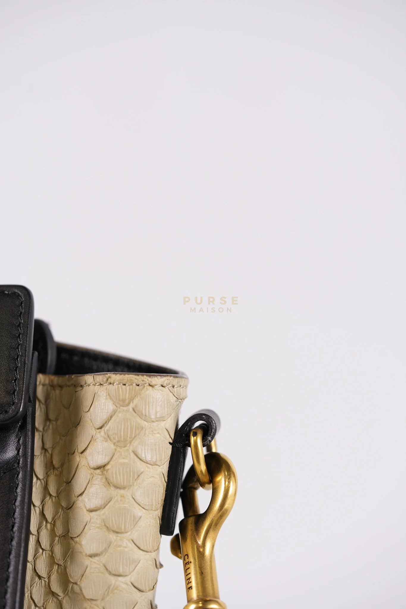Celine Nano Luggage Tri-color in Python Exotic Leather - Image 19