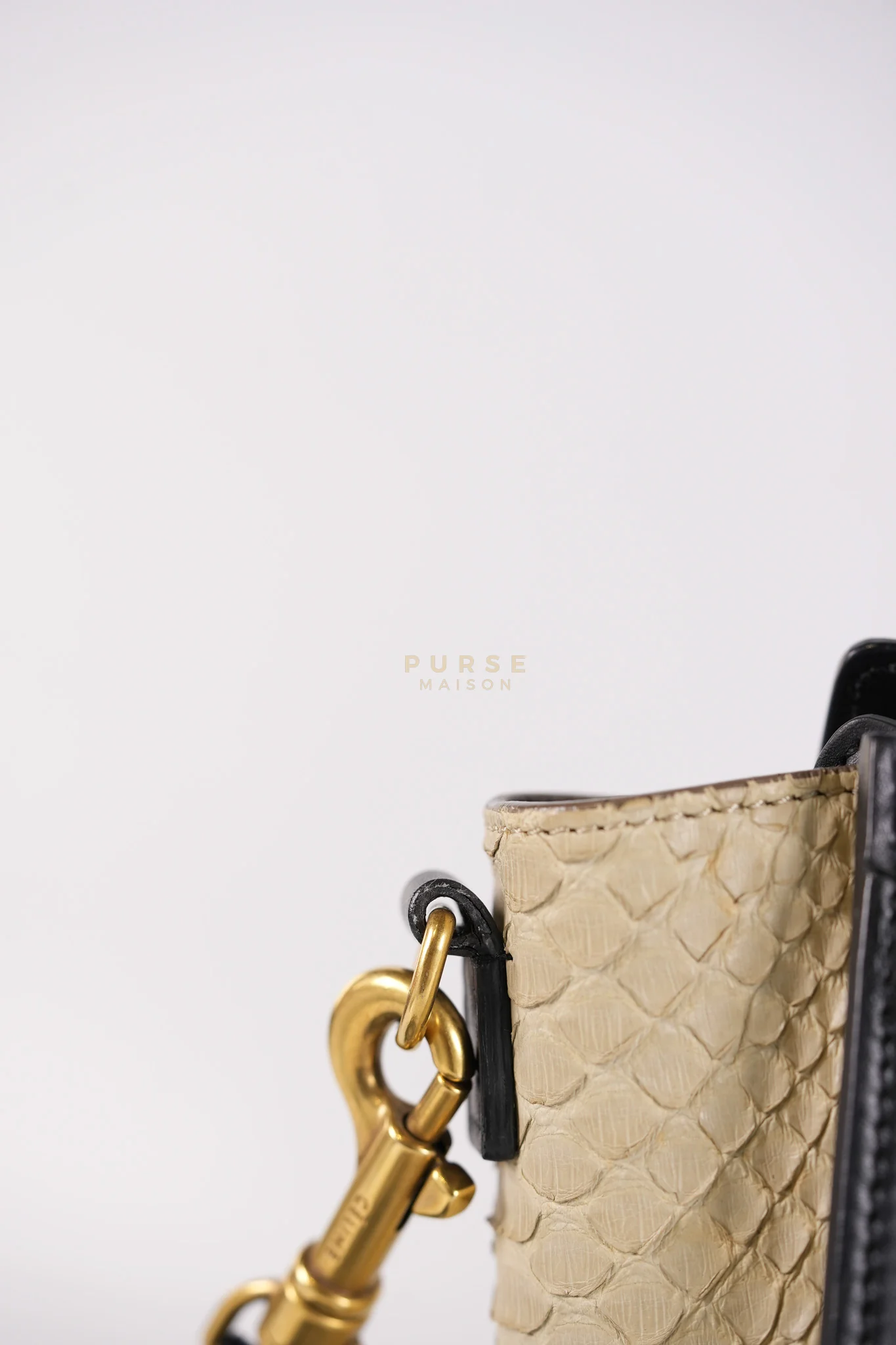 Celine Nano Luggage Tri-color in Python Exotic Leather - Image 20