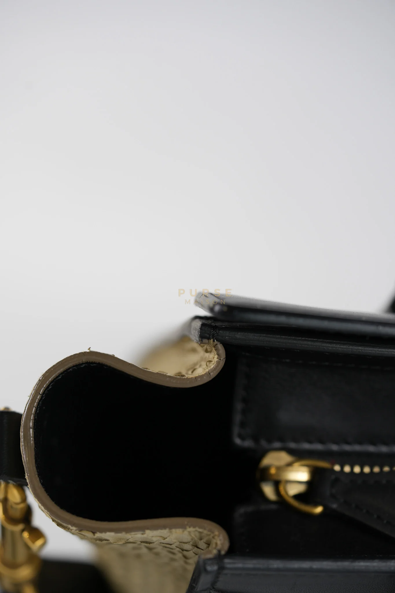 Celine Nano Luggage Tri-color in Python Exotic Leather - Image 25