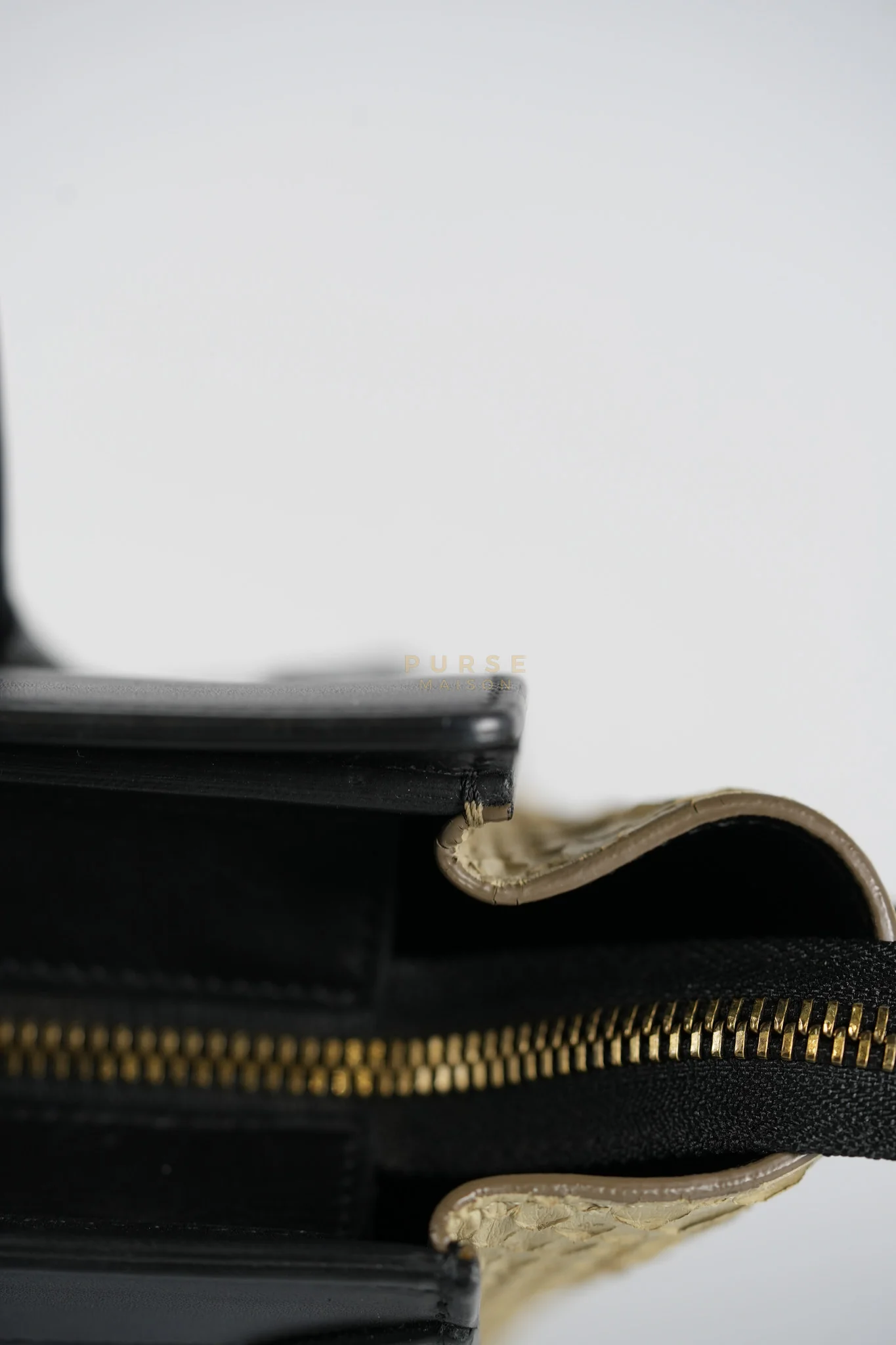 Celine Nano Luggage Tri-color in Python Exotic Leather - Image 26