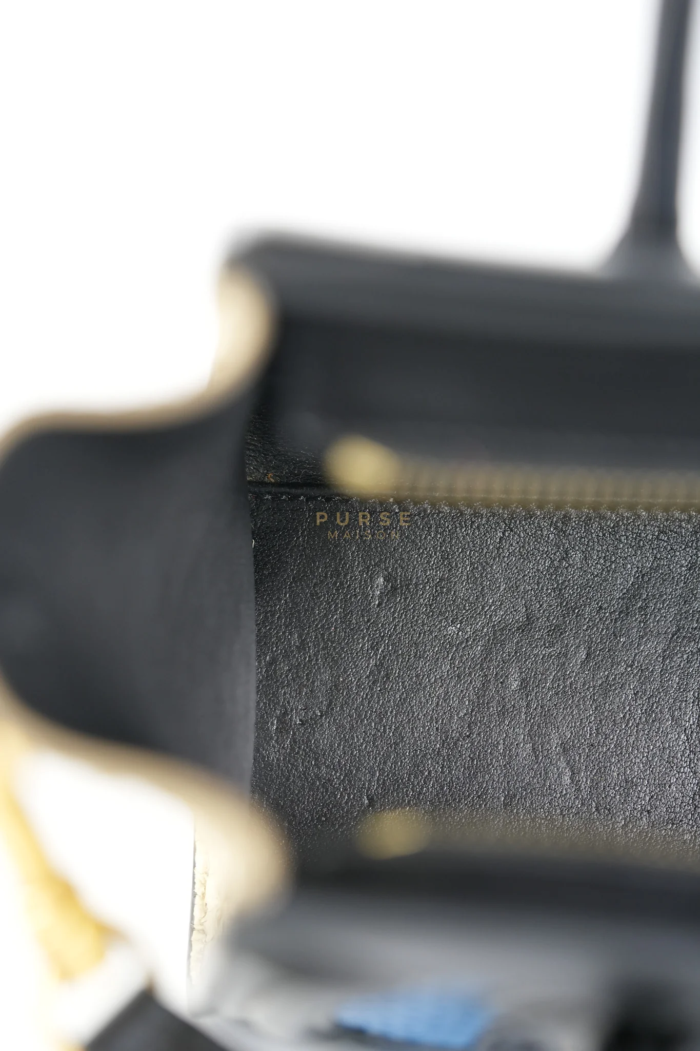 Celine Nano Luggage Tri-color in Python Exotic Leather - Image 33