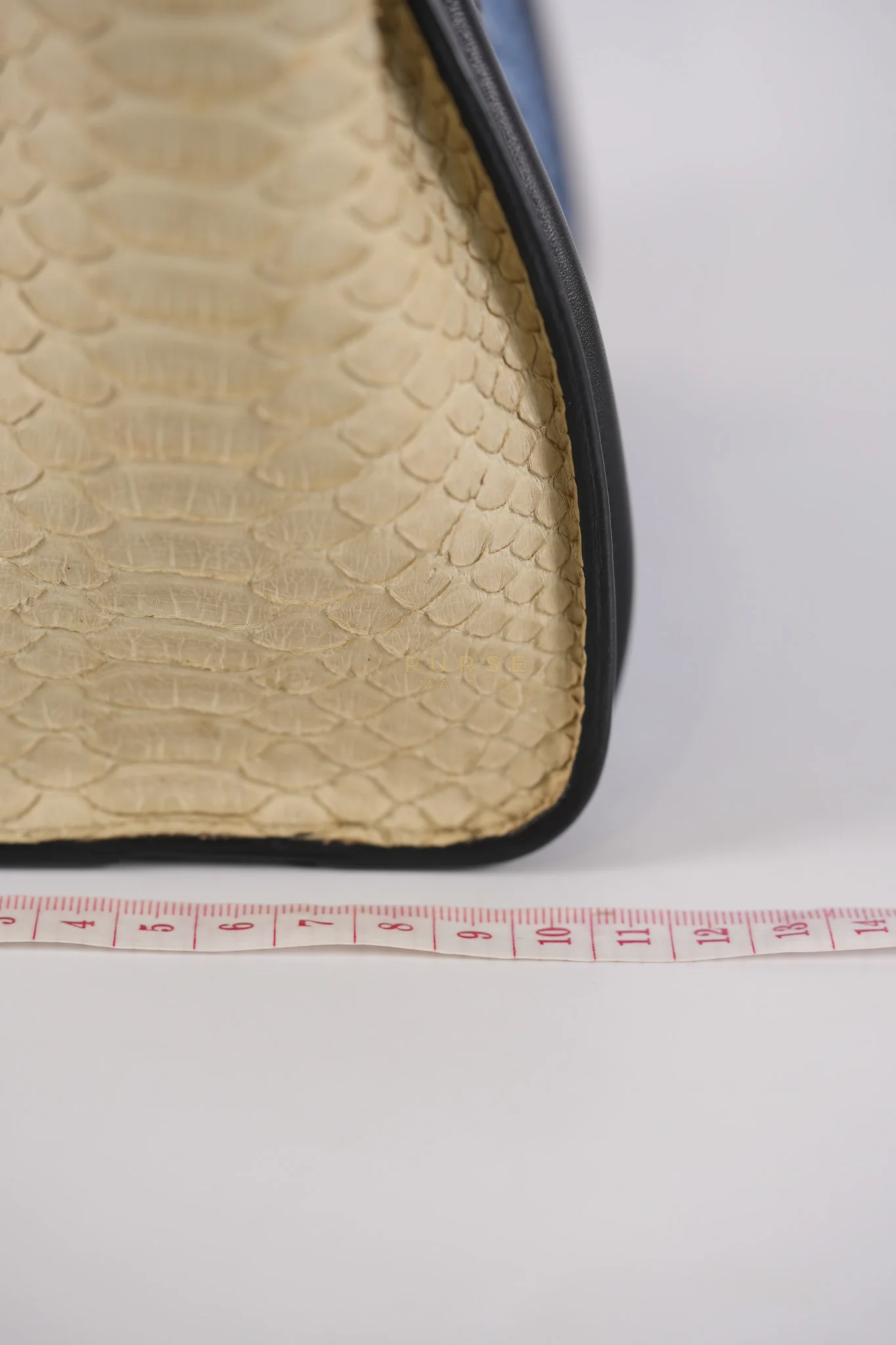 Celine Nano Luggage Tri-color in Python Exotic Leather - Image 40