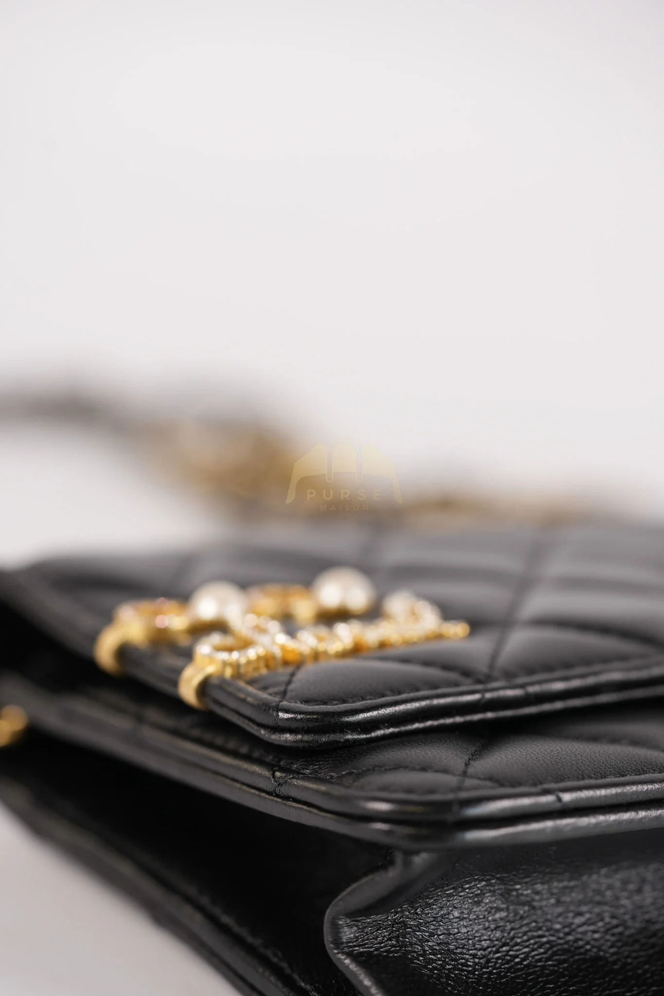 Chanel Wallet On Chain Coco Clips (WOC) Quilted Lambskin Leather and Mixed Hardware (Microchip) - Image 16