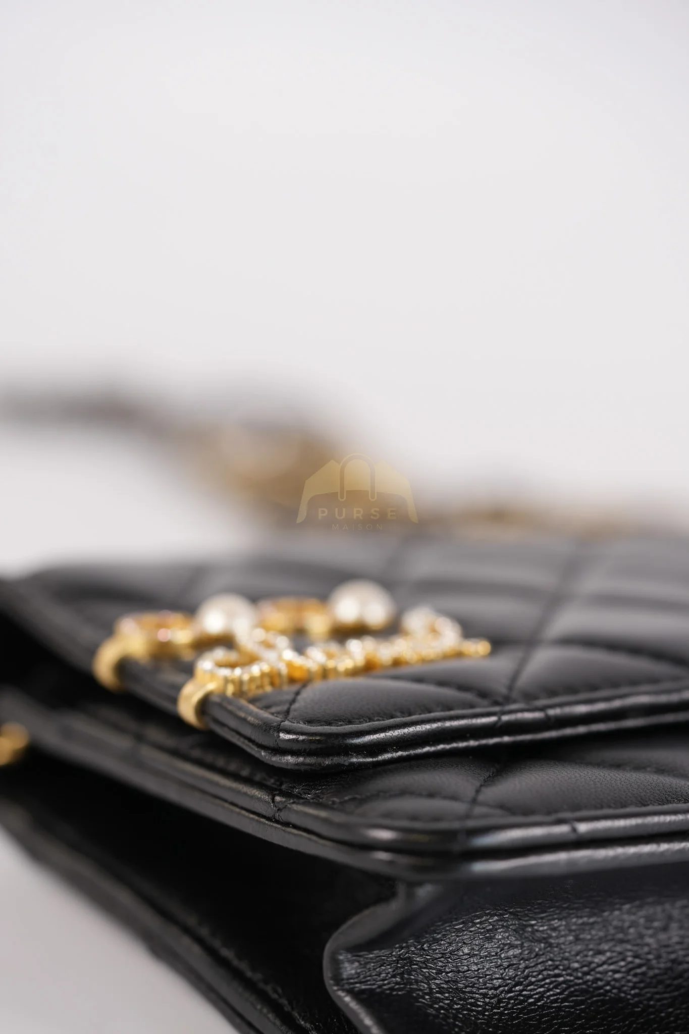 Chanel Wallet On Chain Coco Clips (WOC) Quilted Lambskin Leather and Mixed Hardware (Microchip) - Image 17