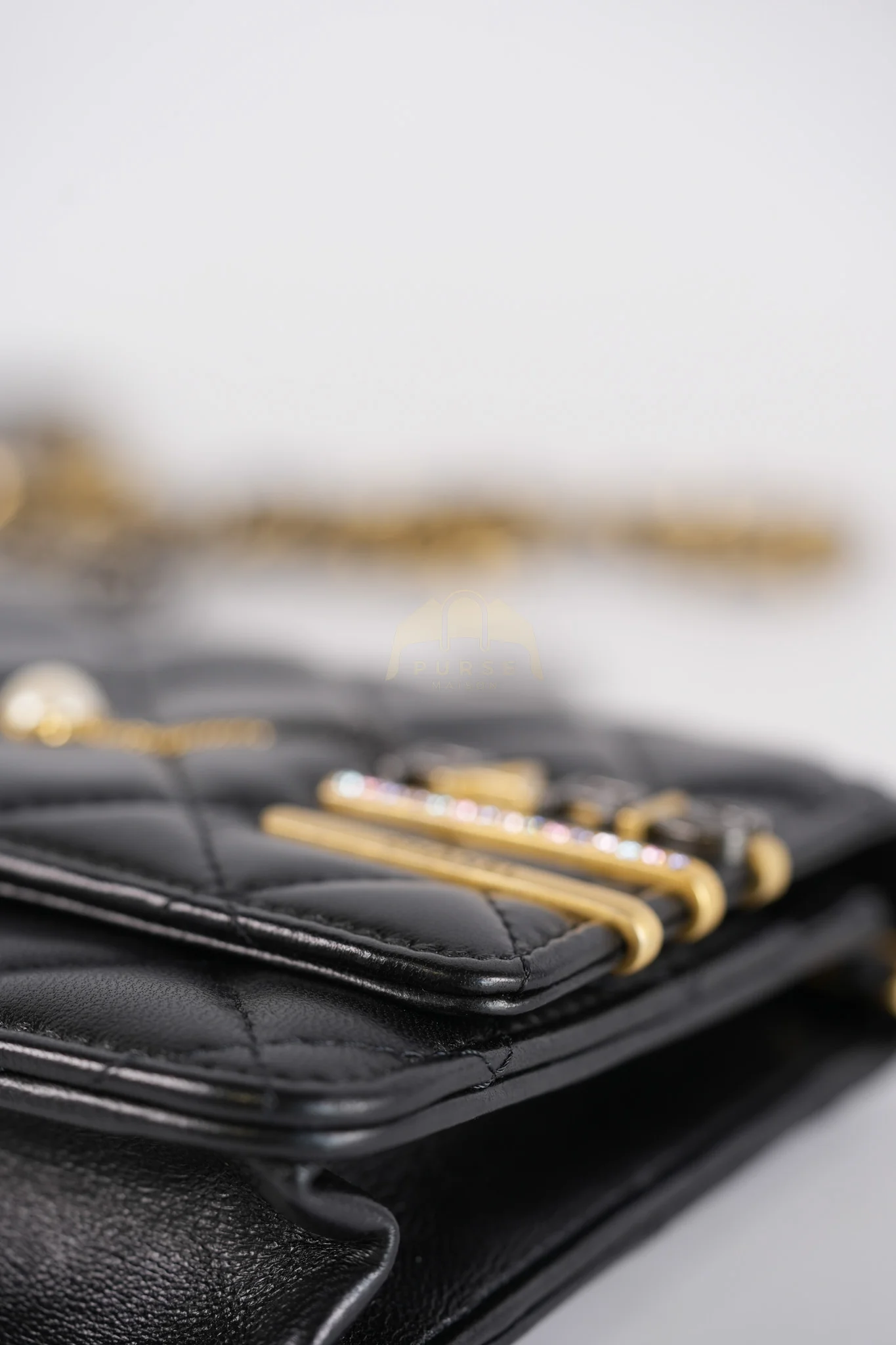 Chanel Wallet On Chain Coco Clips (WOC) Quilted Lambskin Leather and Mixed Hardware (Microchip) - Image 19
