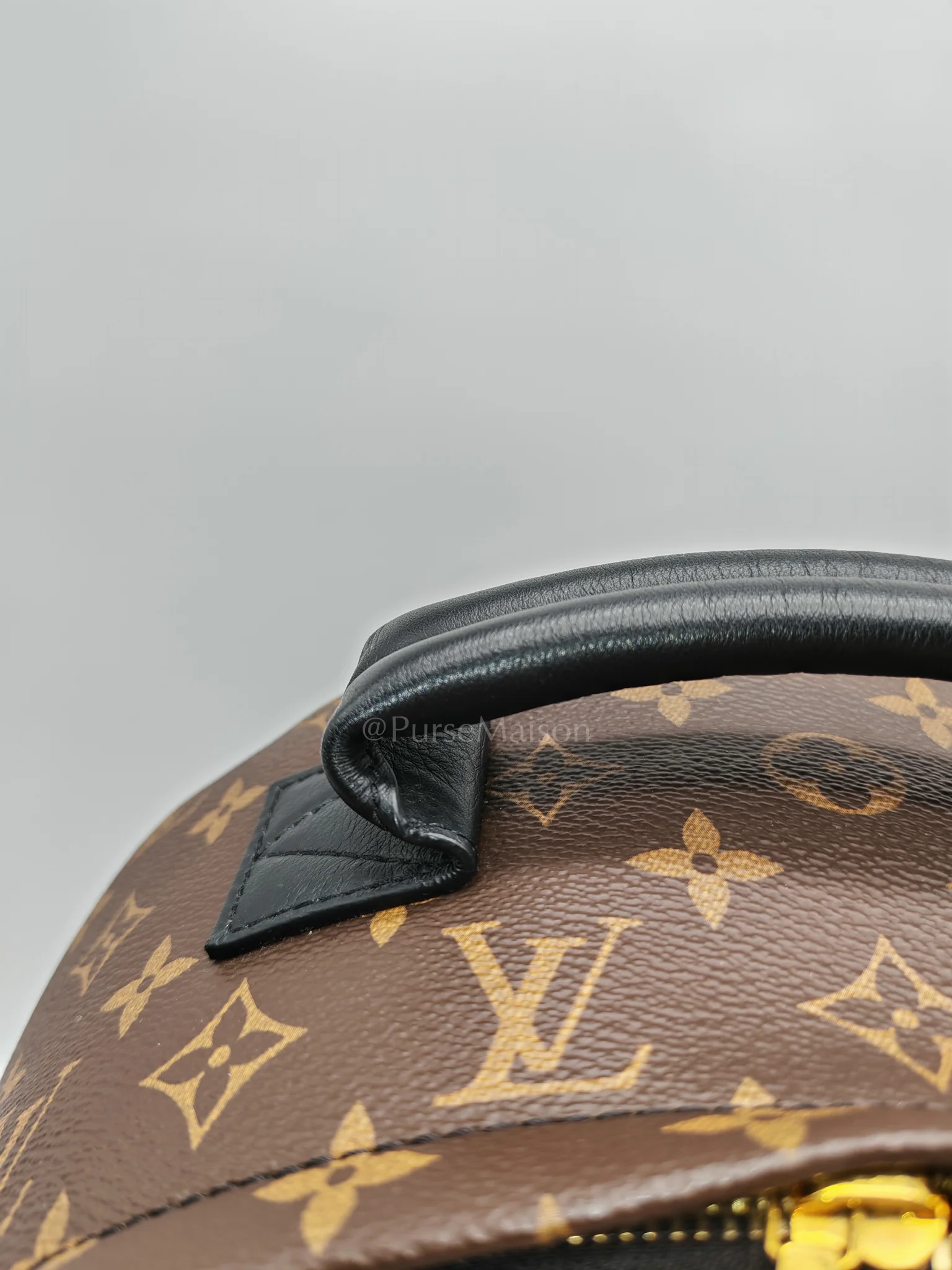 Louis Vuitton Palm Spring MM in Monogram Canvas Backpack (Date Code: PL2159) - Image 16