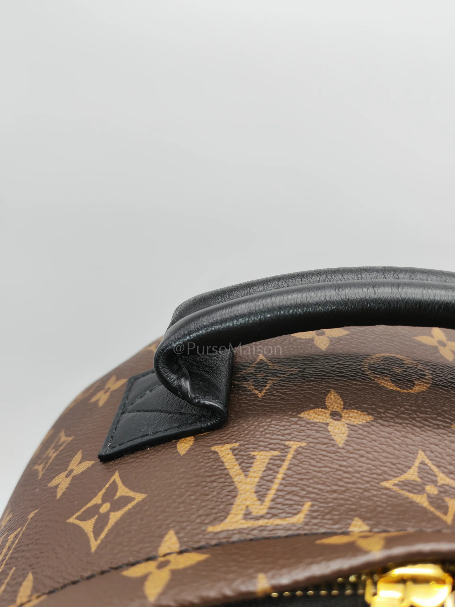 Louis Vuitton Palm Spring MM in Monogram Canvas Backpack (Date Code: PL2159) - Image 18