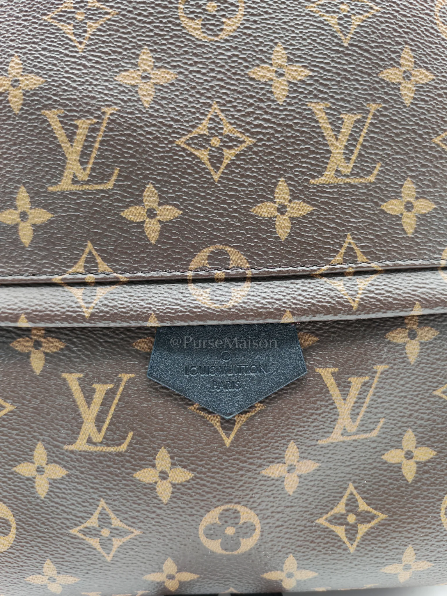 Louis Vuitton Palm Spring MM in Monogram Canvas Backpack (Date Code: PL2159) - Image 19