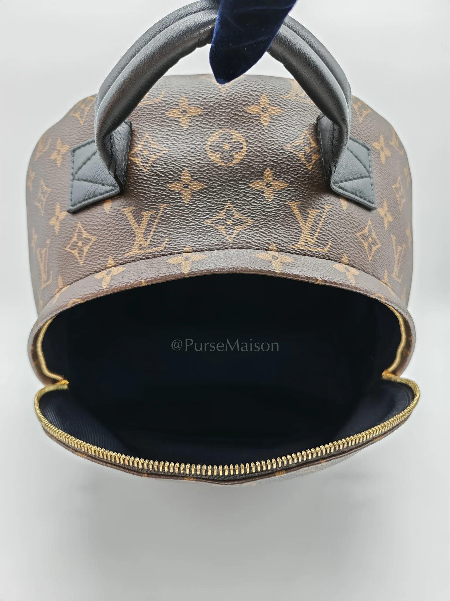 Louis Vuitton Palm Spring MM in Monogram Canvas Backpack (Date Code: PL2159) - Image 23