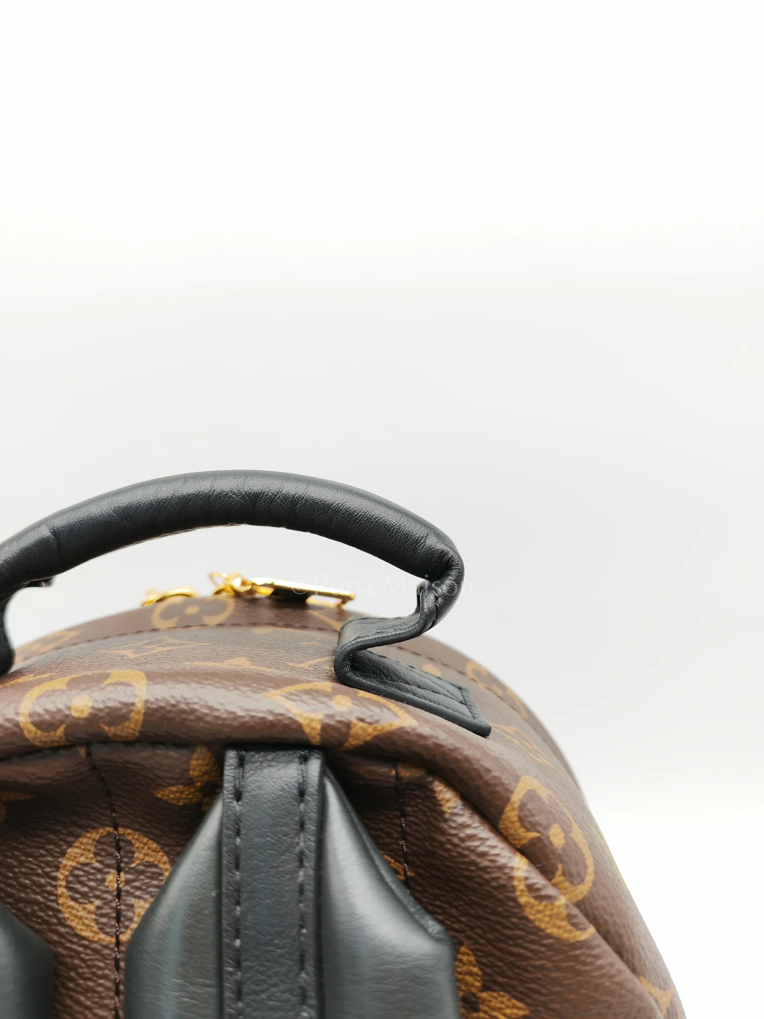 Louis Vuitton Palm Springs PM in Monogram Canvas Backpack (Microchip) - Image 14