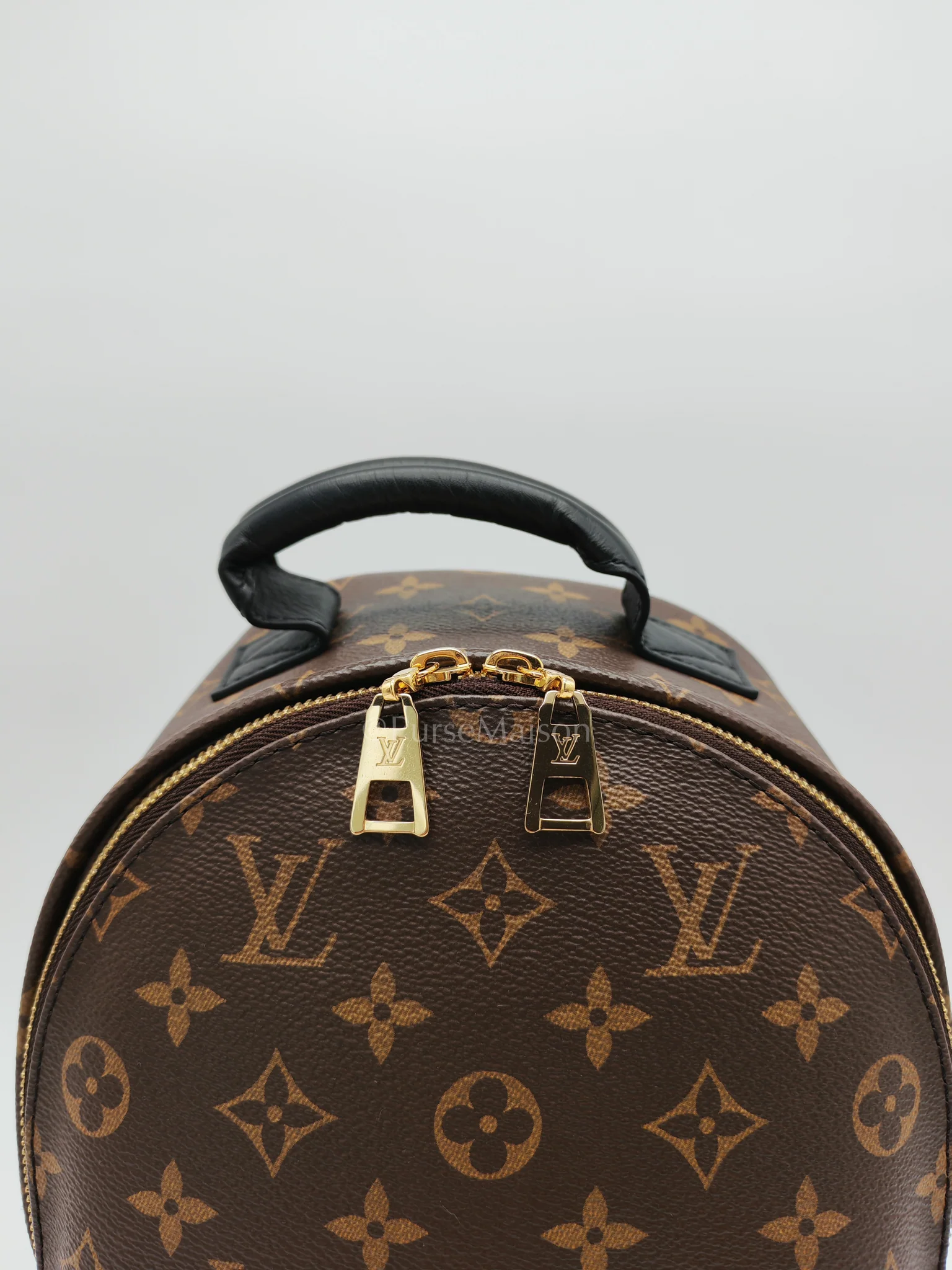 Louis Vuitton Palm Springs PM in Monogram Canvas Backpack (Microchip) - Image 17