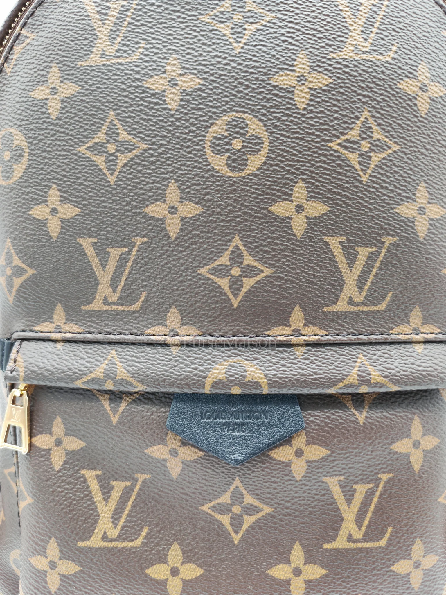Louis Vuitton Palm Springs PM in Monogram Canvas Backpack (Microchip) - Image 19