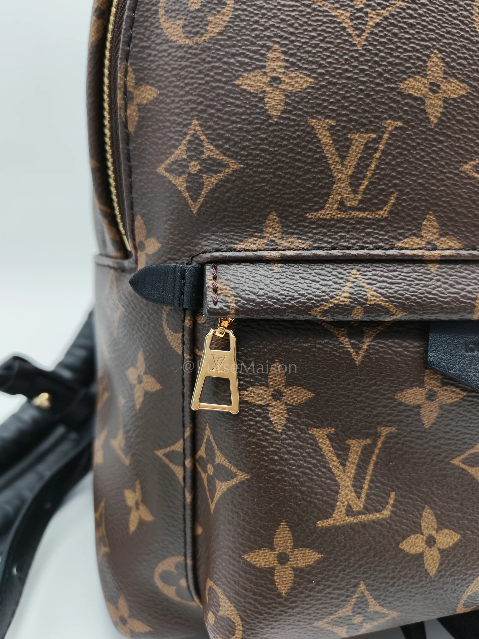 Louis Vuitton Palm Springs PM in Monogram Canvas Backpack (Microchip) - Image 20