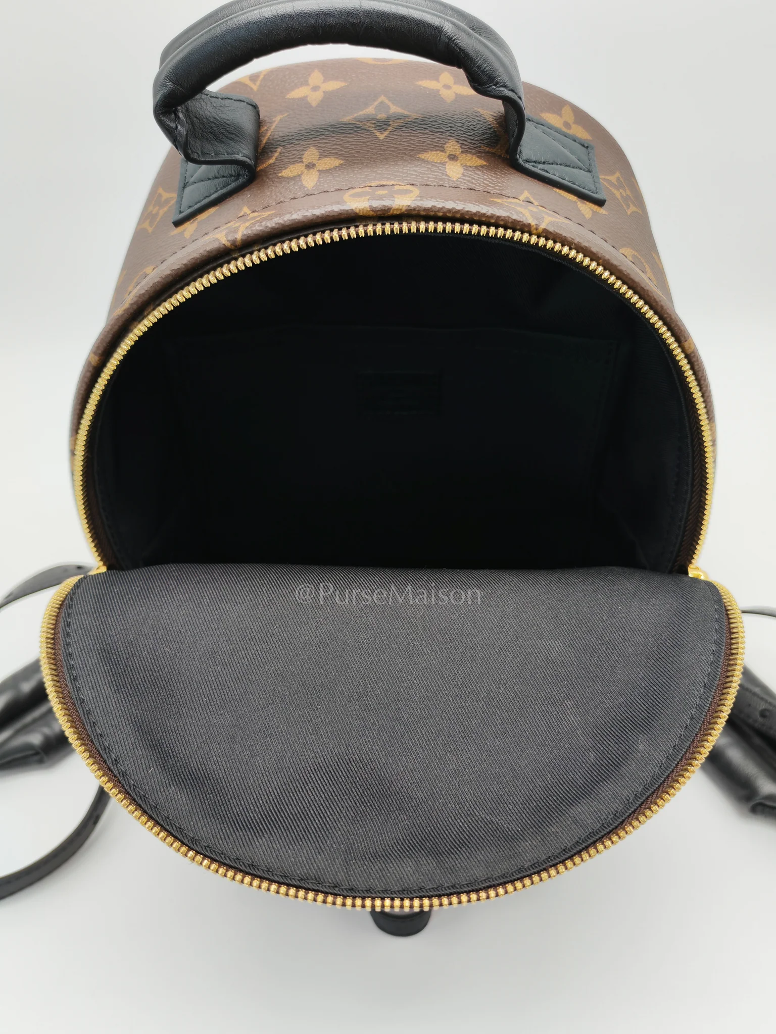 Louis Vuitton Palm Springs PM in Monogram Canvas Backpack (Microchip) - Image 24