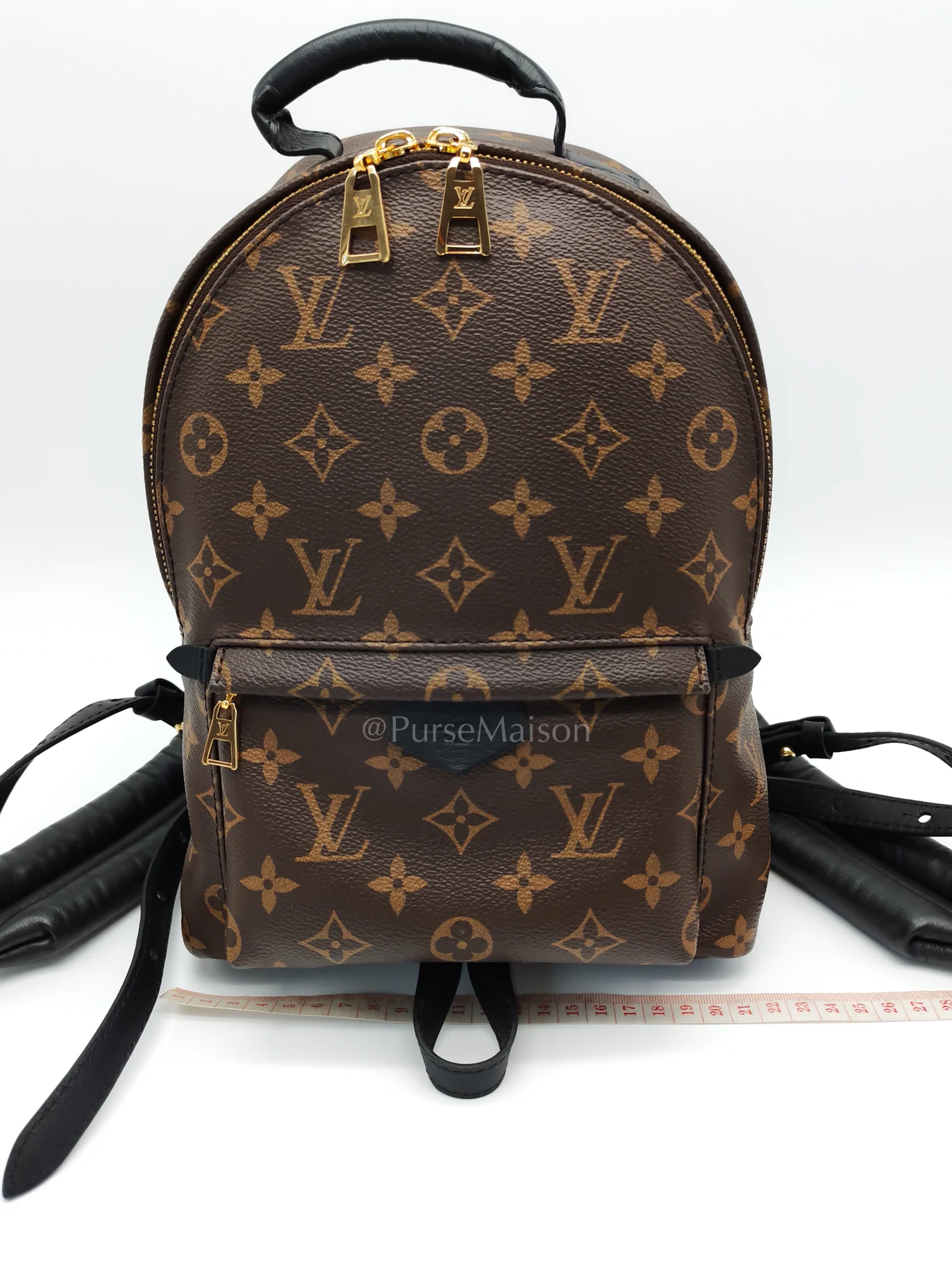 Louis Vuitton Palm Springs PM in Monogram Canvas Backpack (Microchip) - Image 25
