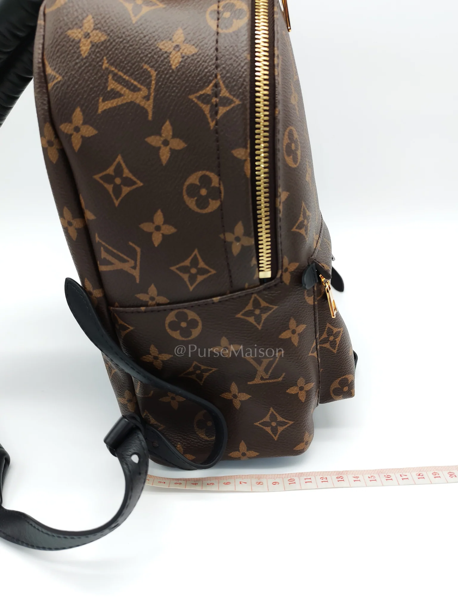 Louis Vuitton Palm Springs PM in Monogram Canvas Backpack (Microchip) - Image 28