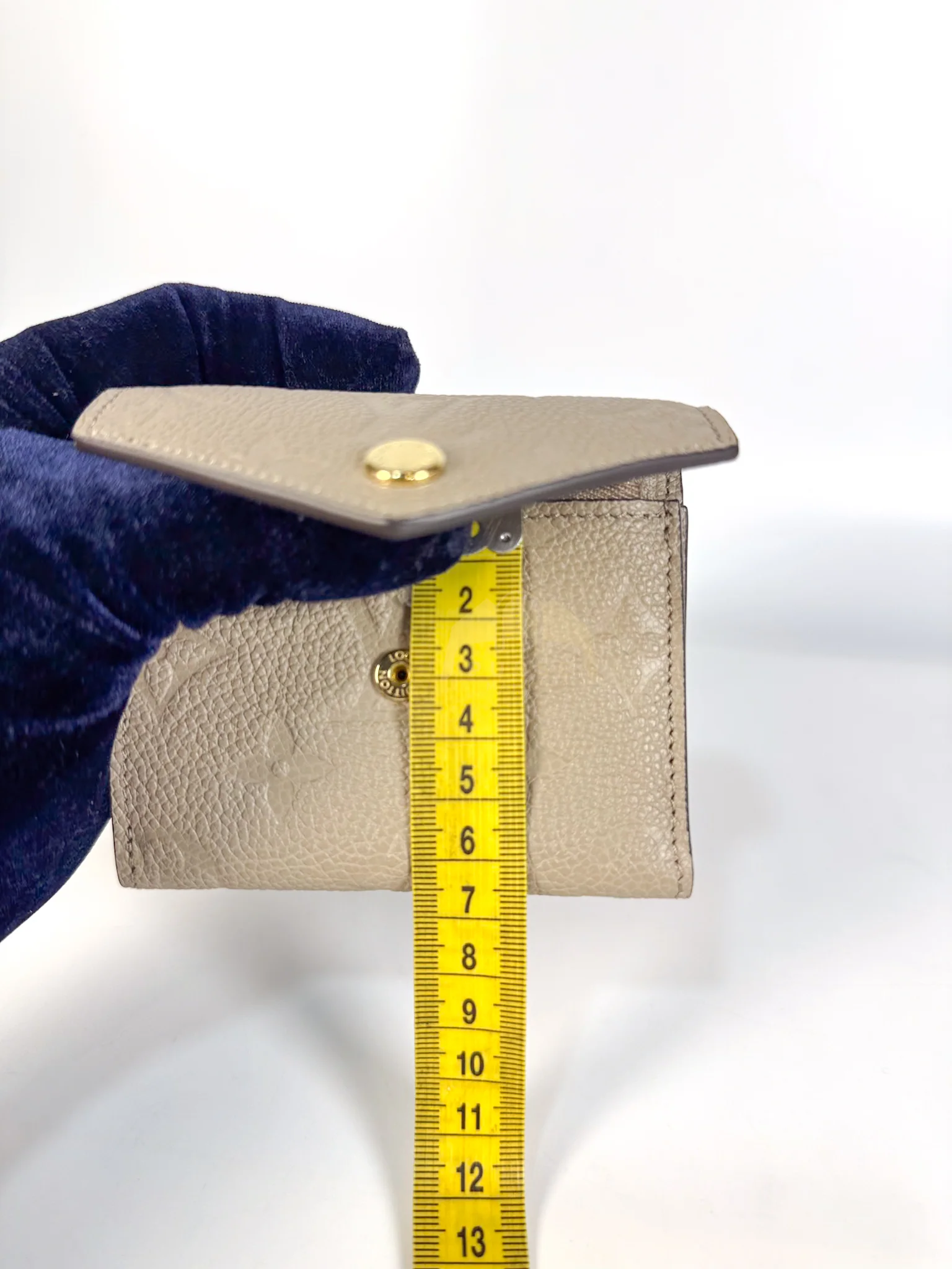 Louis Vuitton Rosalie Wallet in Tourterelle Monogram Empreinte Leather (Microchip) - Image 20