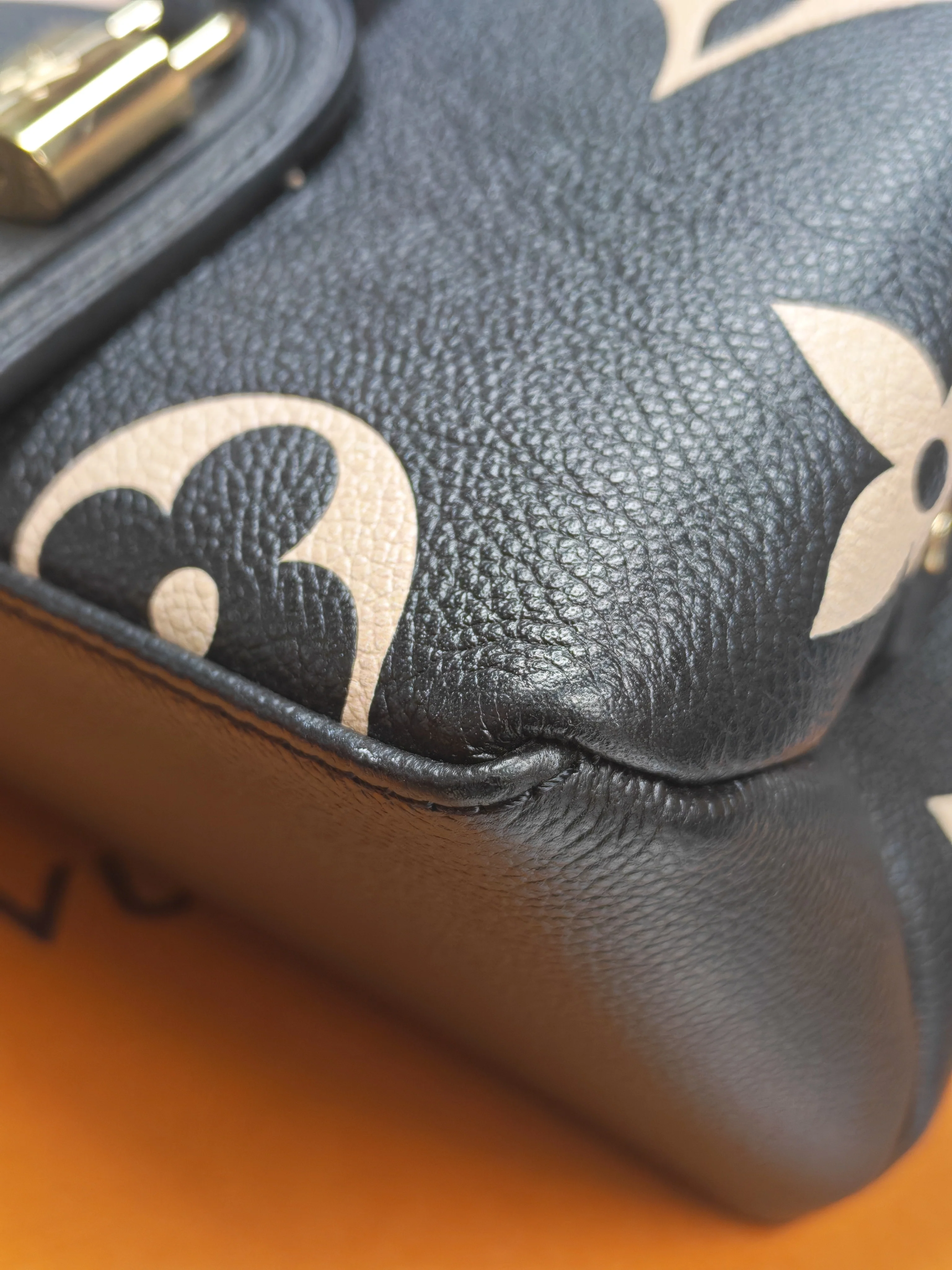 Louis Vuitton Petit Palais PM in Monogram Empreinte Bicolor Leather (Microchip) - Image 19