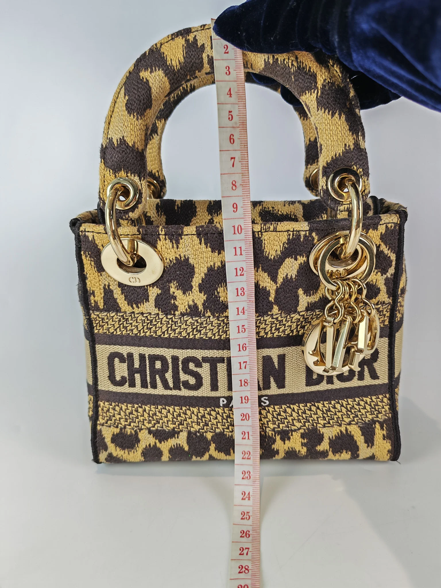 Christian Dior Lady D-lite Mini in Mizza Leopard Embroidered Canvas - Image 28