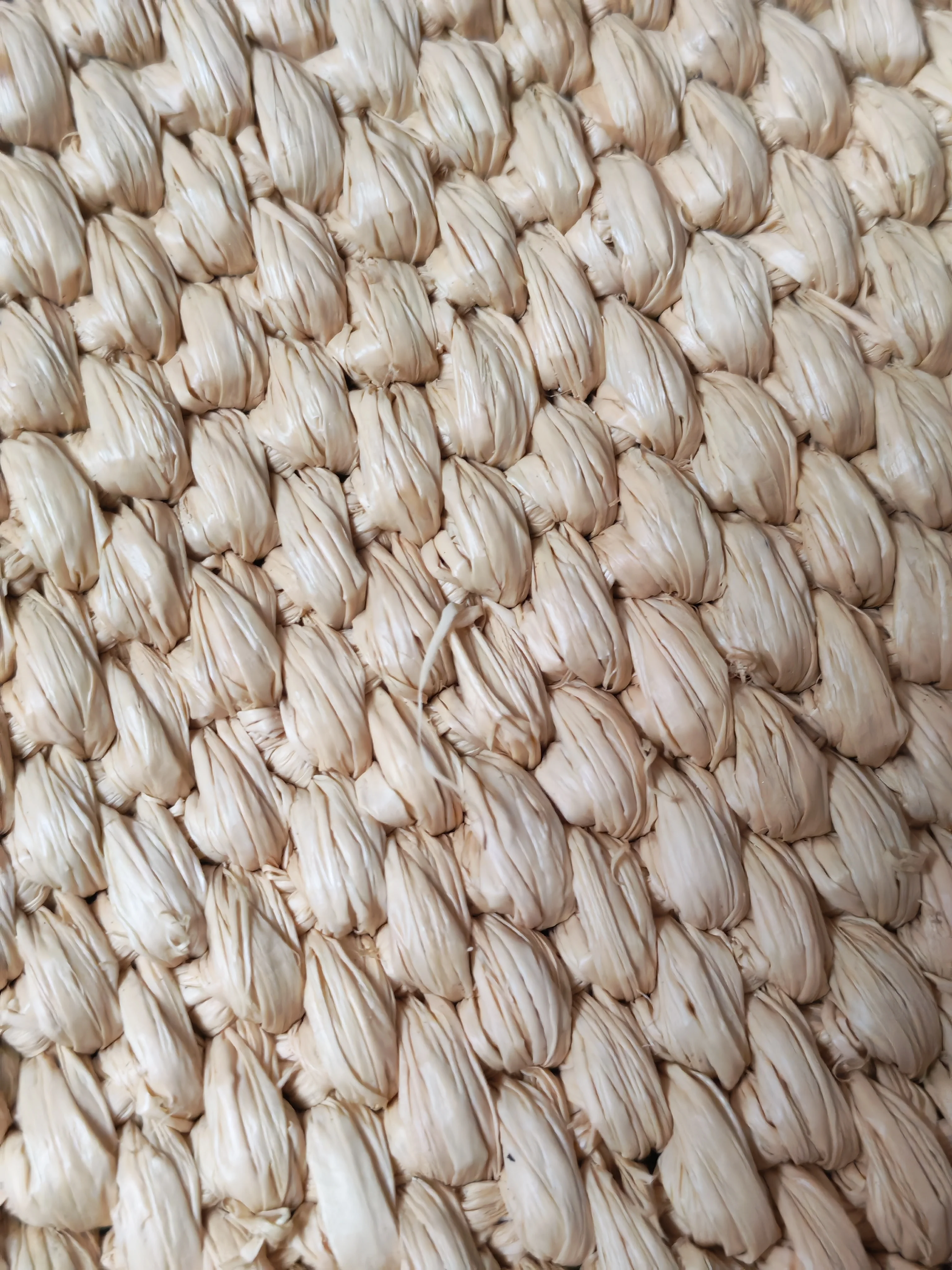 Loewe Font Tote in Raffia Beige Tote Bag - Image 21