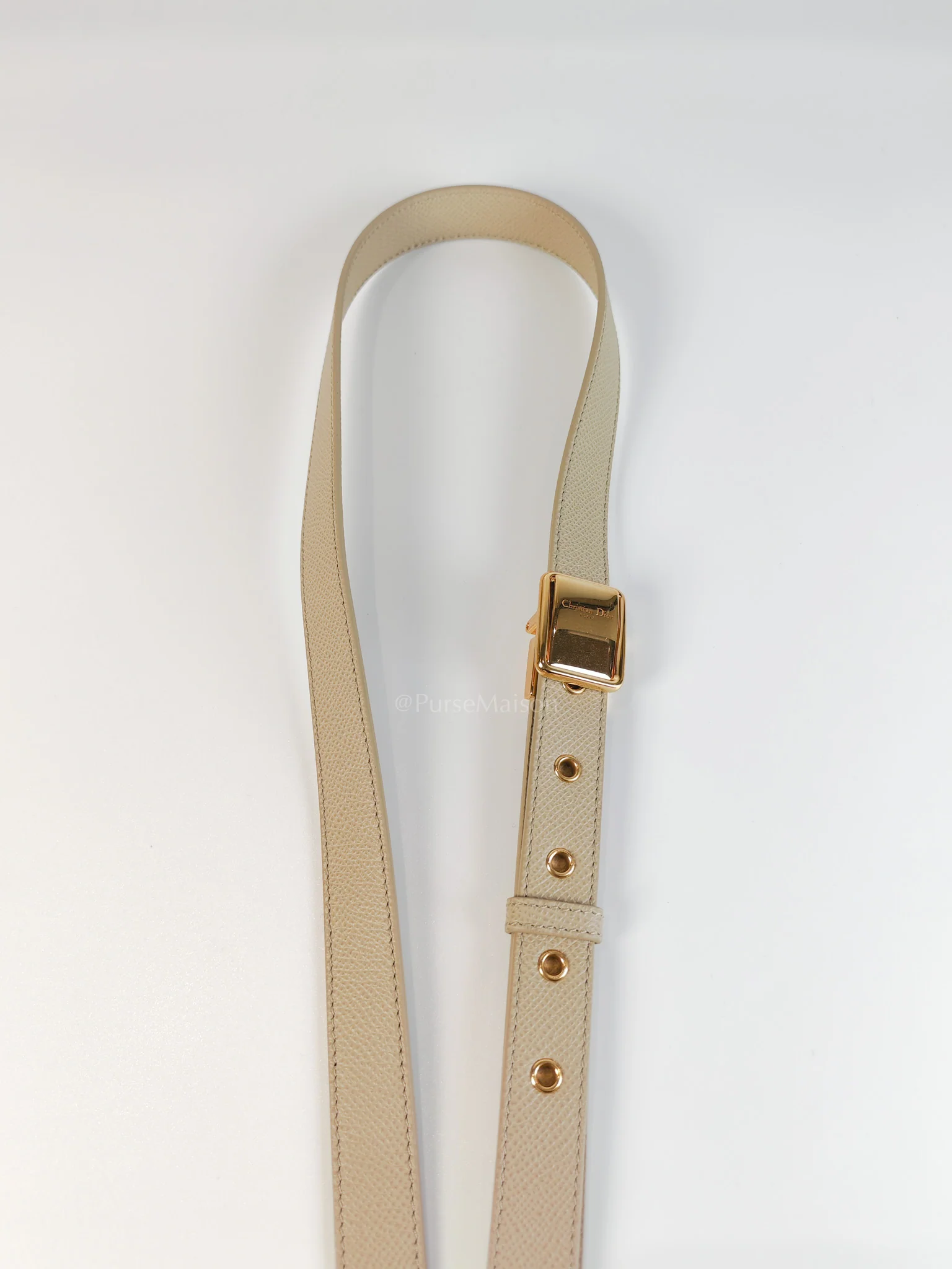 Christian Dior St Honoré Tote Bag Medium in Beige Grained Calfskin - Image 31