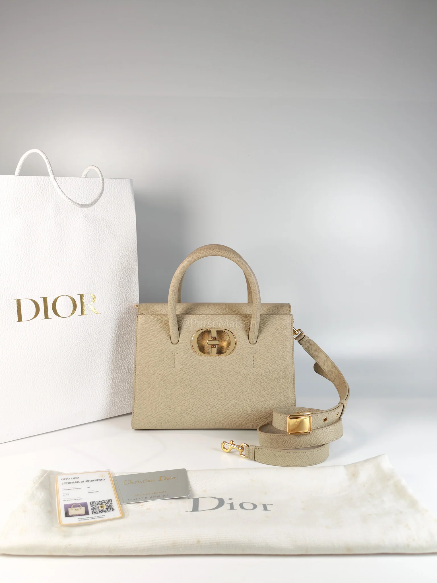 Christian Dior St Honoré Tote Bag Medium in Beige Grained Calfskin - Image 39