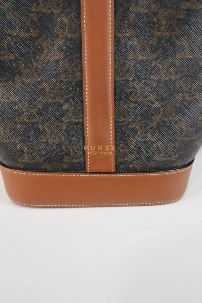 Celine Triomphe Bucket Bag Small in Black/Dark Brown Calfskin Leather & Gold Hardware - Image 16