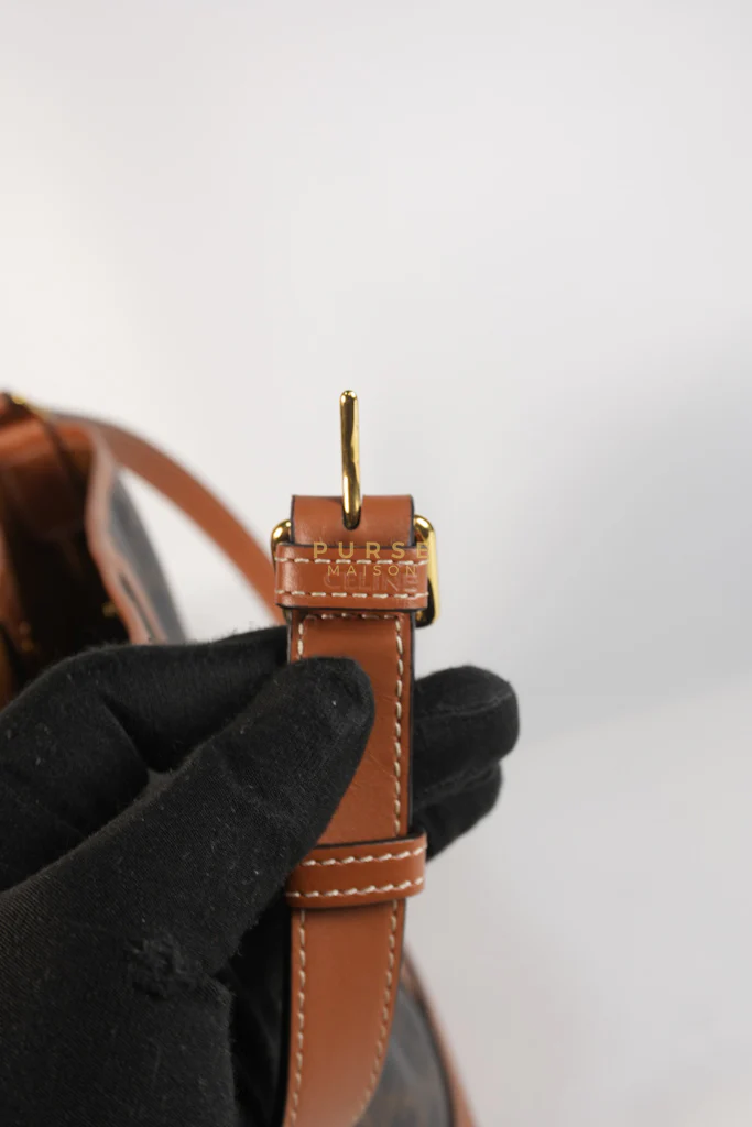 Celine Triomphe Bucket Bag Small in Black/Dark Brown Calfskin Leather & Gold Hardware - Image 19