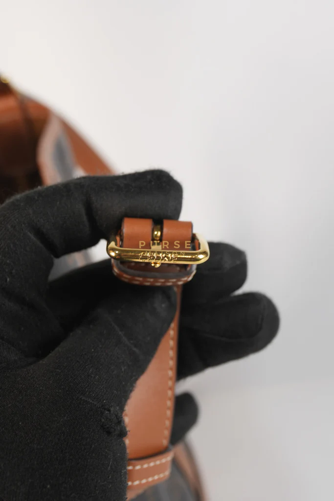 Celine Triomphe Bucket Bag Small in Black/Dark Brown Calfskin Leather & Gold Hardware - Image 20