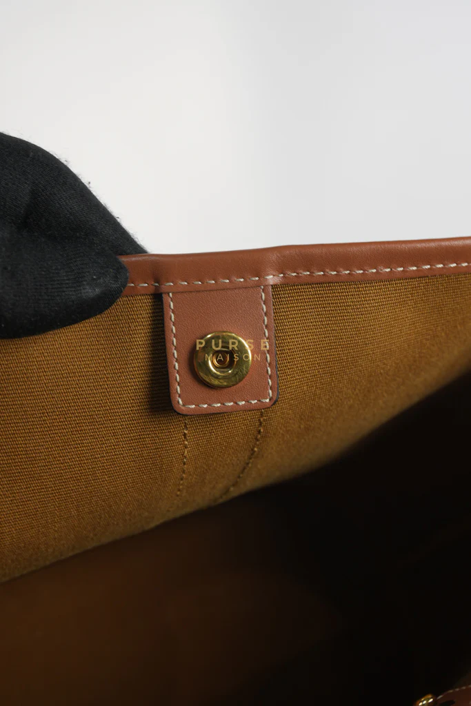 Celine Triomphe Bucket Bag Small in Black/Dark Brown Calfskin Leather & Gold Hardware - Image 22