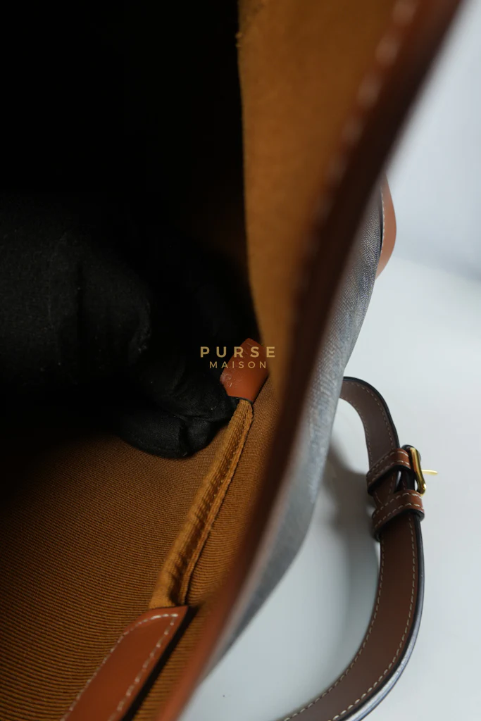 Celine Triomphe Bucket Bag Small in Black/Dark Brown Calfskin Leather & Gold Hardware - Image 25