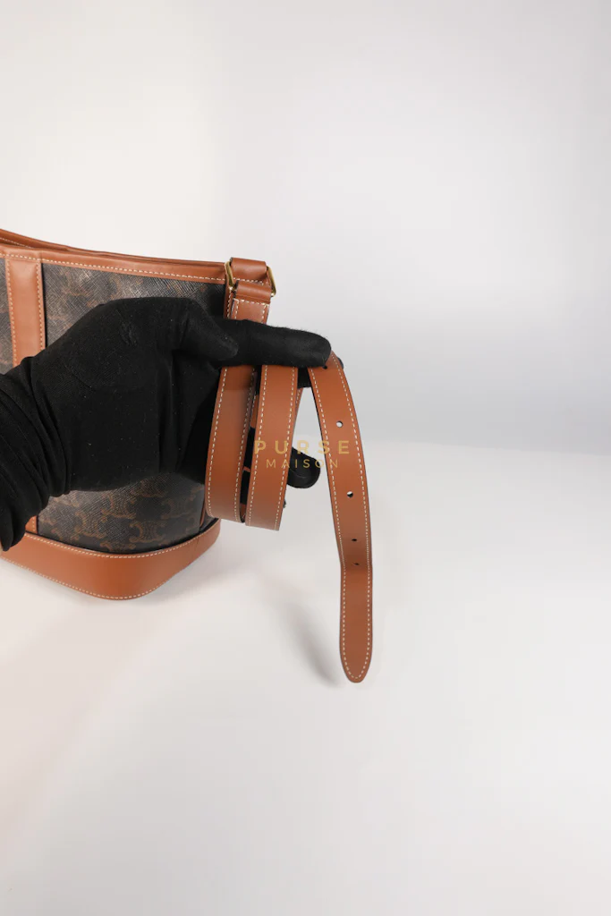 Celine Triomphe Bucket Bag Small in Black/Dark Brown Calfskin Leather & Gold Hardware - Image 26