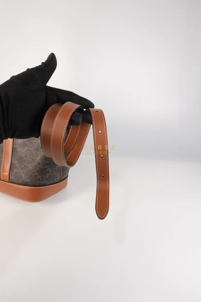 Celine Triomphe Bucket Bag Small in Black/Dark Brown Calfskin Leather & Gold Hardware - Image 28