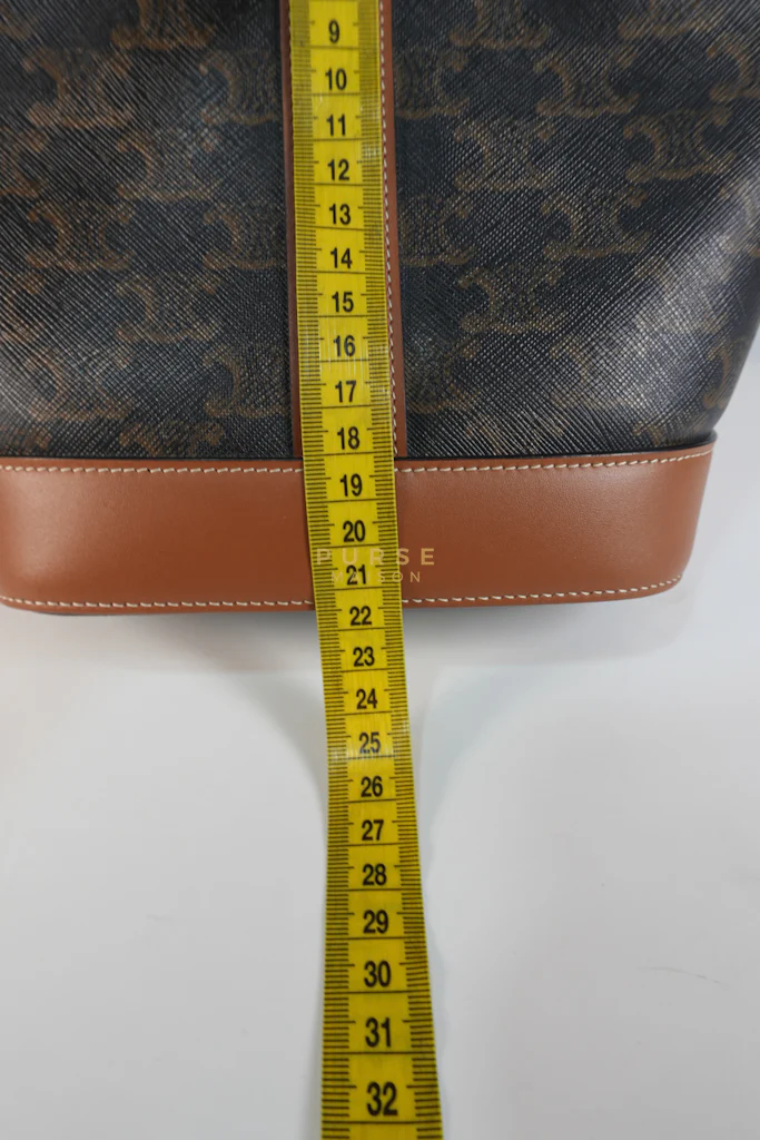 Celine Triomphe Bucket Bag Small in Black/Dark Brown Calfskin Leather & Gold Hardware - Image 33