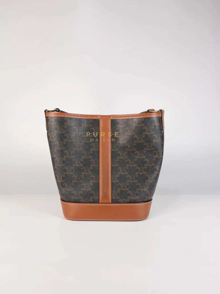 Celine Triomphe Bucket Bag Small in Black/Dark Brown Calfskin Leather & Gold Hardware - Image 4