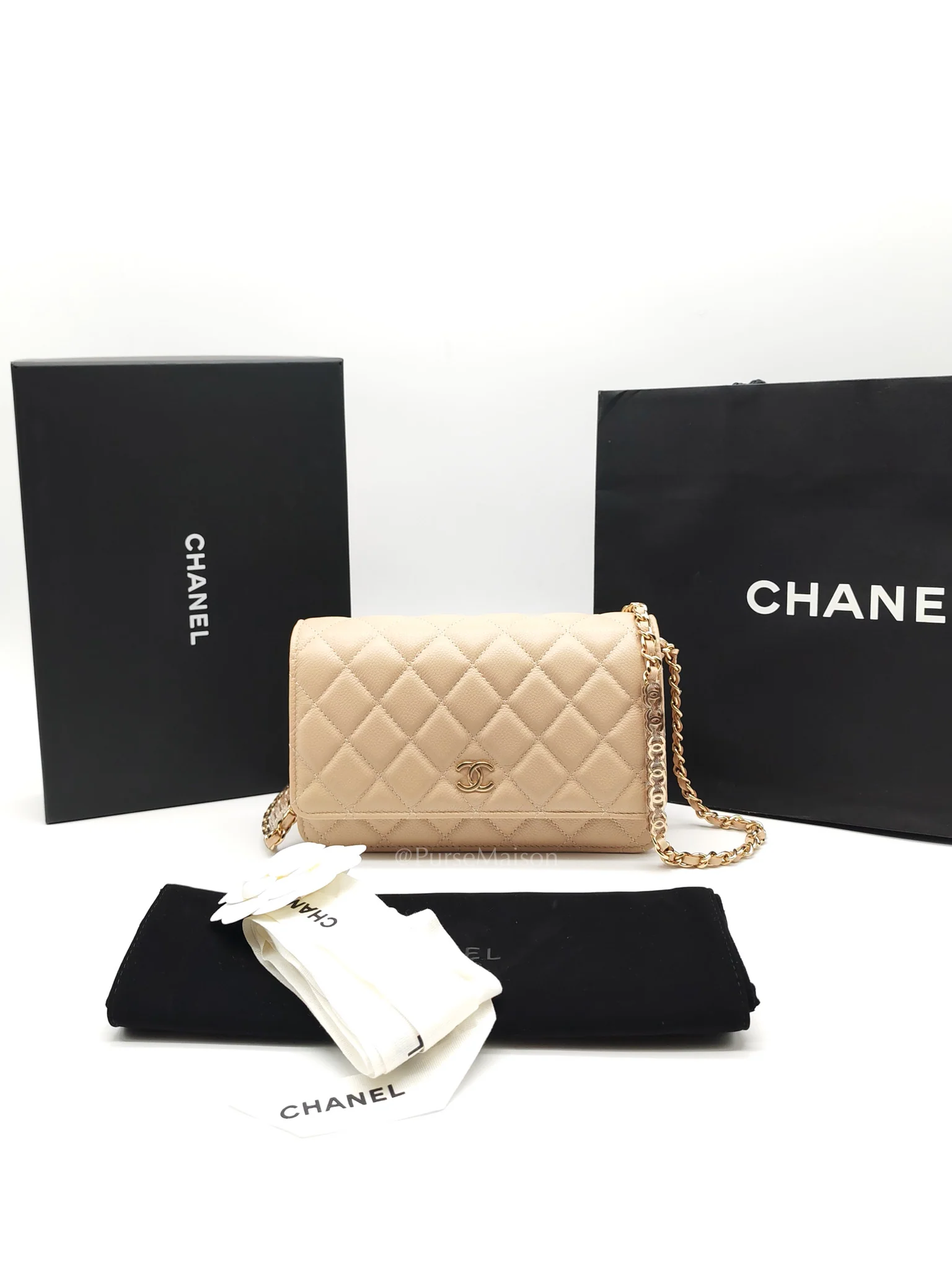 Chanel Wallet On Chain (WOC) in Beige Clair Quilted Caviar Leather and Gold Hardware Microchip - Image 26